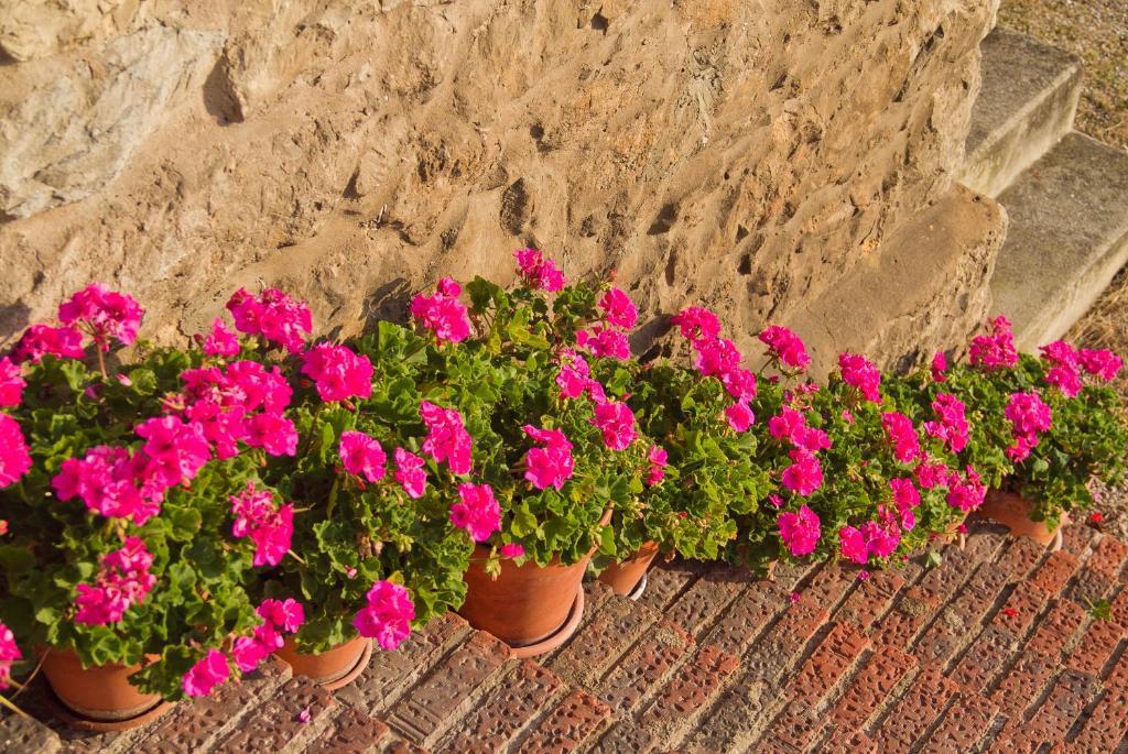 Posada La Solana - Adults Only Σαντιγιάνα ντελ Μαρ Εξωτερικό φωτογραφία