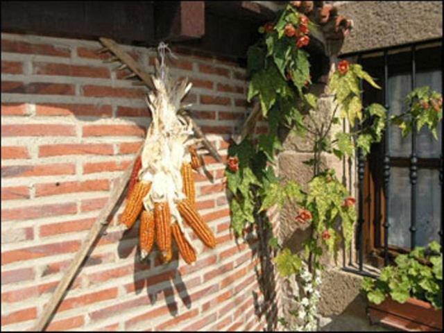 Posada La Solana - Adults Only Σαντιγιάνα ντελ Μαρ Εξωτερικό φωτογραφία