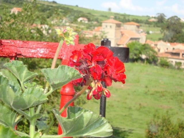 Posada La Solana - Adults Only Σαντιγιάνα ντελ Μαρ Εξωτερικό φωτογραφία